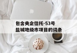 包含央企信托-53号盐城地级市项目的词条