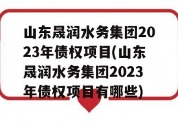 山东晟润水务集团2023年债权项目(山东晟润水务集团2023年债权项目有哪些)