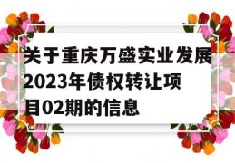 关于重庆万盛实业发展2023年债权转让项目02期的信息