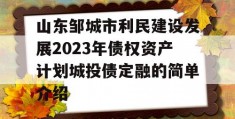 山东邹城市利民建设发展2023年债权资产计划城投债定融的简单介绍