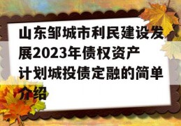 山东邹城市利民建设发展2023年债权资产计划城投债定融的简单介绍