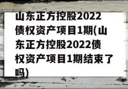 山东正方控股2022债权资产项目1期(山东正方控股2022债权资产项目1期结束了吗)