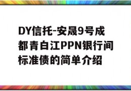 DY信托-安晟9号成都青白江PPN银行间标准债的简单介绍