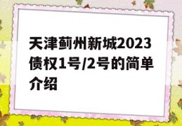 天津蓟州新城2023债权1号/2号的简单介绍