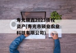 寿光硕鑫2023债权资产(寿光市硕业农业科技有限公司)