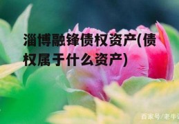 淄博融锋债权资产(债权属于什么资产)