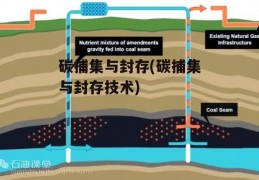 碳捕集与封存(碳捕集与封存技术)