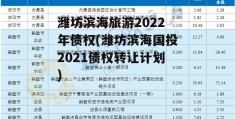 潍坊滨海旅游2022年债权(潍坊滨海国投2021债权转让计划)