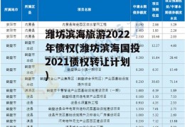 潍坊滨海旅游2022年债权(潍坊滨海国投2021债权转让计划)