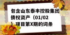 包含山东泰丰控股集团债权资产（01/02）项目第X期的词条