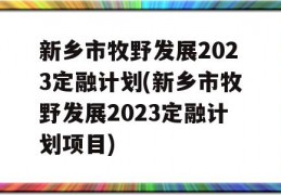 新乡市牧野发展2023定融计划(新乡市牧野发展2023定融计划项目)