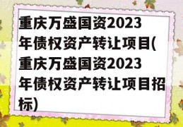 重庆万盛国资2023年债权资产转让项目(重庆万盛国资2023年债权资产转让项目招标)