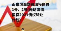 山东滨海新城城投债权1号、2号(潍坊滨海国投2021债权转让计划)