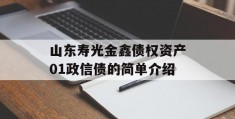 山东寿光金鑫债权资产01政信债的简单介绍