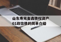 山东寿光金鑫债权资产01政信债的简单介绍