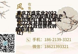 重庆万盛实业2022政信债权(重庆万盛实业2022政信债权转让)