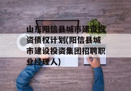 山东阳信县城市建设投资债权计划(阳信县城市建设投资集团招聘职业经理人)