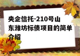 央企信托-210号山东潍坊标债项目的简单介绍