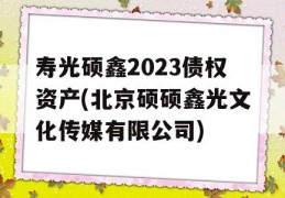 寿光硕鑫2023债权资产(北京硕硕鑫光文化传媒有限公司)