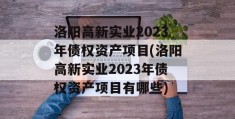 洛阳高新实业2023年债权资产项目(洛阳高新实业2023年债权资产项目有哪些)