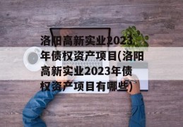 洛阳高新实业2023年债权资产项目(洛阳高新实业2023年债权资产项目有哪些)