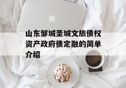 山东邹城圣城文旅债权资产政府债定融的简单介绍