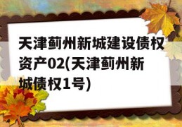 天津蓟州新城建设债权资产02(天津蓟州新城债权1号)