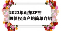 2023年山东ZF控股债权资产的简单介绍