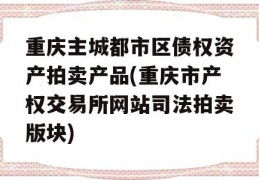 重庆主城都市区债权资产拍卖产品(重庆市产权交易所网站司法拍卖版块)