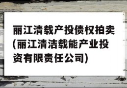 丽江清载产投债权拍卖(丽江清洁载能产业投资有限责任公司)