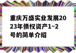 重庆万盛实业发展2023年债权资产1~2号的简单介绍