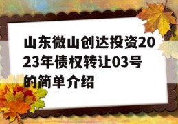 山东微山创达投资2023年债权转让03号的简单介绍