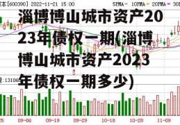 淄博博山城市资产2023年债权一期(淄博博山城市资产2023年债权一期多少)