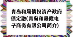 青岛和晟债权资产政府债定融(青岛和晟隆电子商务有限公司简介)