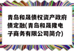 青岛和晟债权资产政府债定融(青岛和晟隆电子商务有限公司简介)