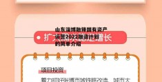 山东淄博融锋国有资产运营2022融资计划的简单介绍