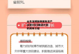 山东淄博融锋国有资产运营2022融资计划的简单介绍