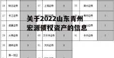 关于2022山东青州宏源债权资产的信息