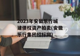 2023年安徽乐行城建债权资产拍卖(安徽乐行集团招标网)