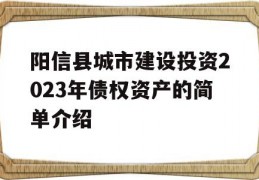 阳信县城市建设投资2023年债权资产的简单介绍