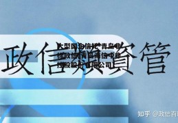 大型国企信托-青岛非标政信(青岛海信中非控股股份有限公司)