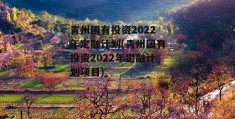 青州国有投资2022年定融计划(青州国有投资2022年定融计划项目)