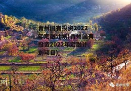 青州国有投资2022年定融计划(青州国有投资2022年定融计划项目)