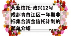 大业信托-政兴12号成都青白江区一年期非标集合资金信托计划的简单介绍