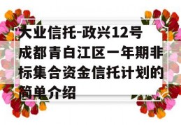 大业信托-政兴12号成都青白江区一年期非标集合资金信托计划的简单介绍