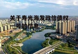 关于寿光海发政信债权一号的信息