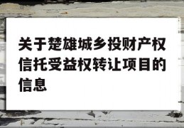 关于楚雄城乡投财产权信托受益权转让项目的信息