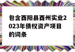 包含酉阳县酉州实业2023年债权资产项目的词条