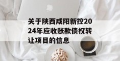 关于陕西咸阳新控2024年应收账款债权转让项目的信息