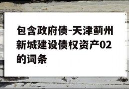 包含政府债-天津蓟州新城建设债权资产02的词条